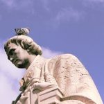 鳩の巣から,卵やヒナが落ちた場合はどうすればいいのか?